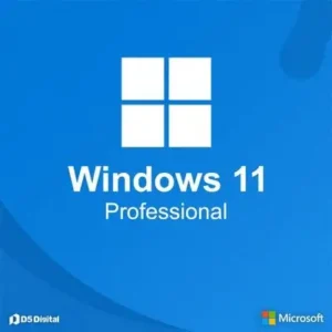windows 11 professional