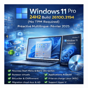 Windows 11 Professionnel